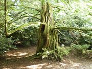 2009-08 Cornwall-270-DPP6